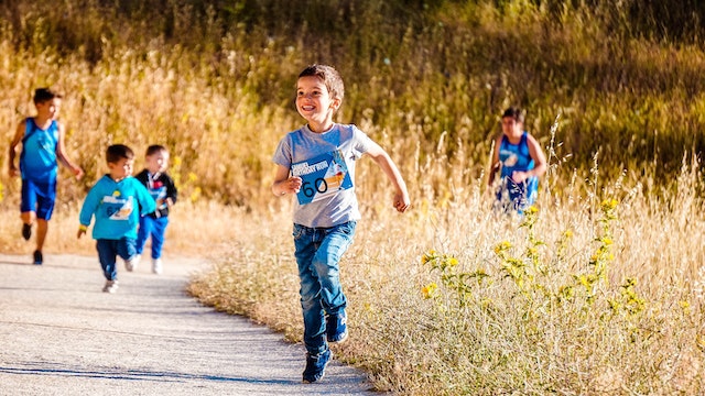 pexels-run-ffwpu-2539281.jpg